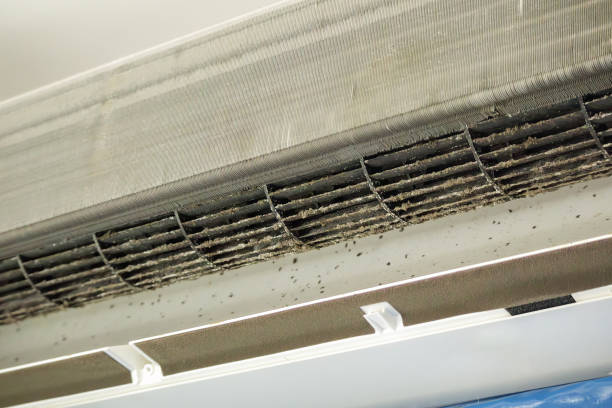 Best HVAC Air Duct Cleaning  in Hazelwood, MO